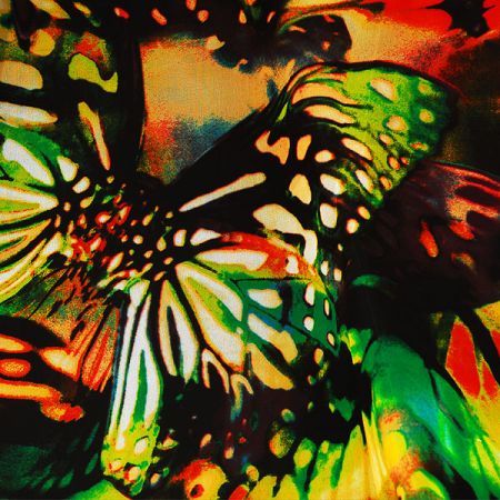 Šifón vzor pestrých motýlů krémový podklad