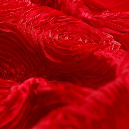Efektní látka stužkové růže na tylu červené