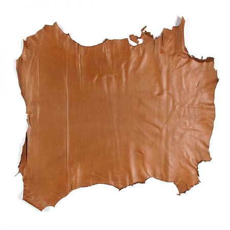 Pravá useň jehnětina hnědá