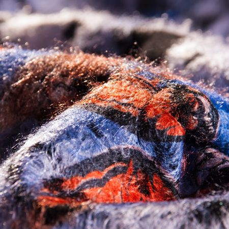 Exkluzivní látka motýlci