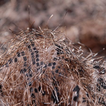 Efektní šifon zvířecí motiv s vlásky