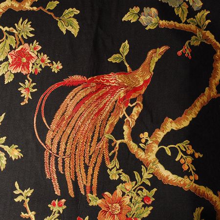 Exotic Birds Royal black